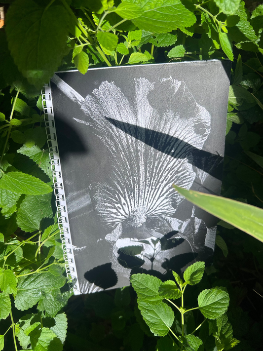 0118 - Another Sci-fi photobook