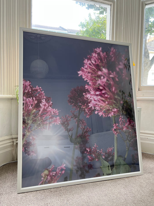 0080 - Large photographic print