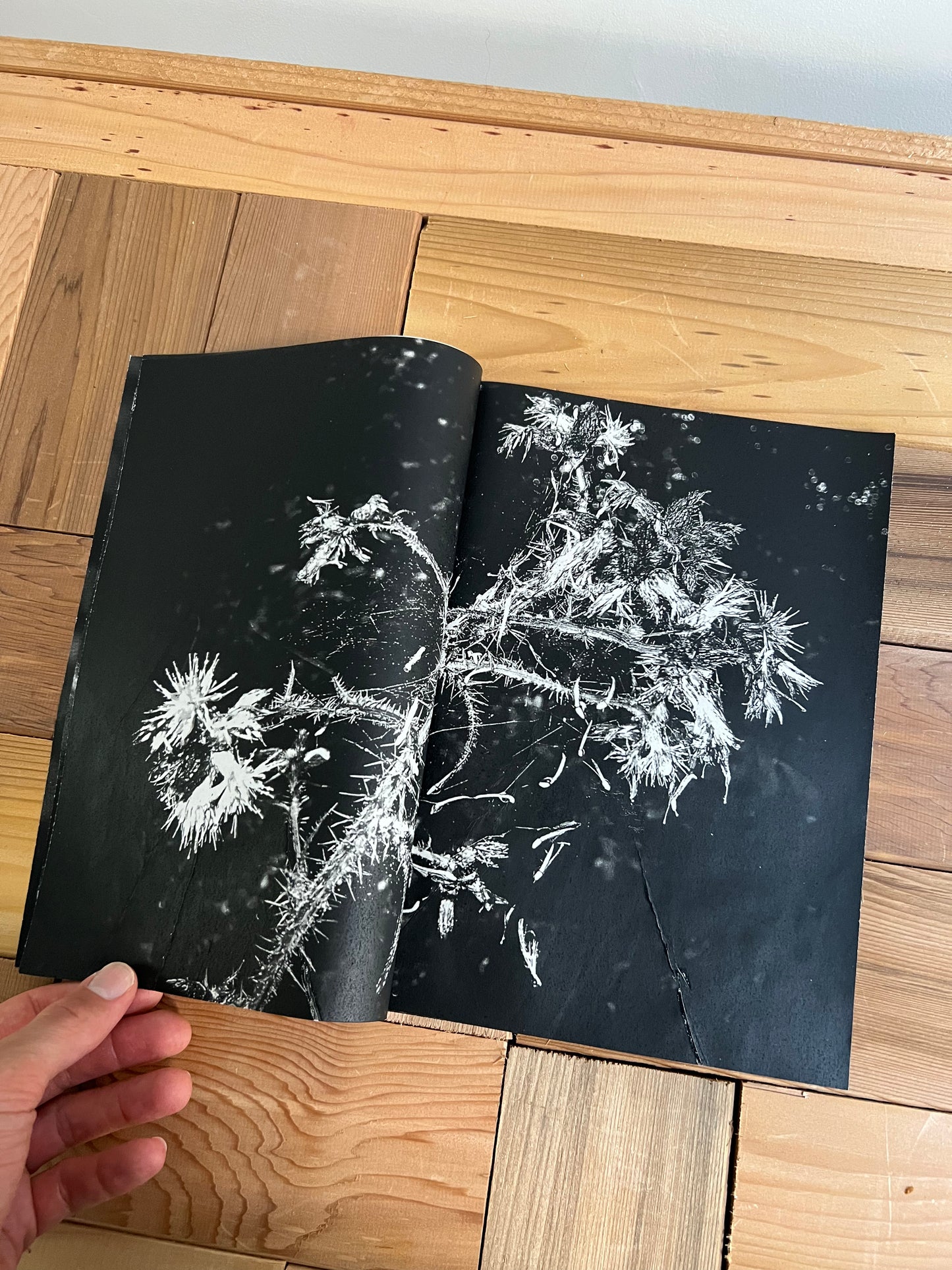 0082 - Flowers & Plants Photobook