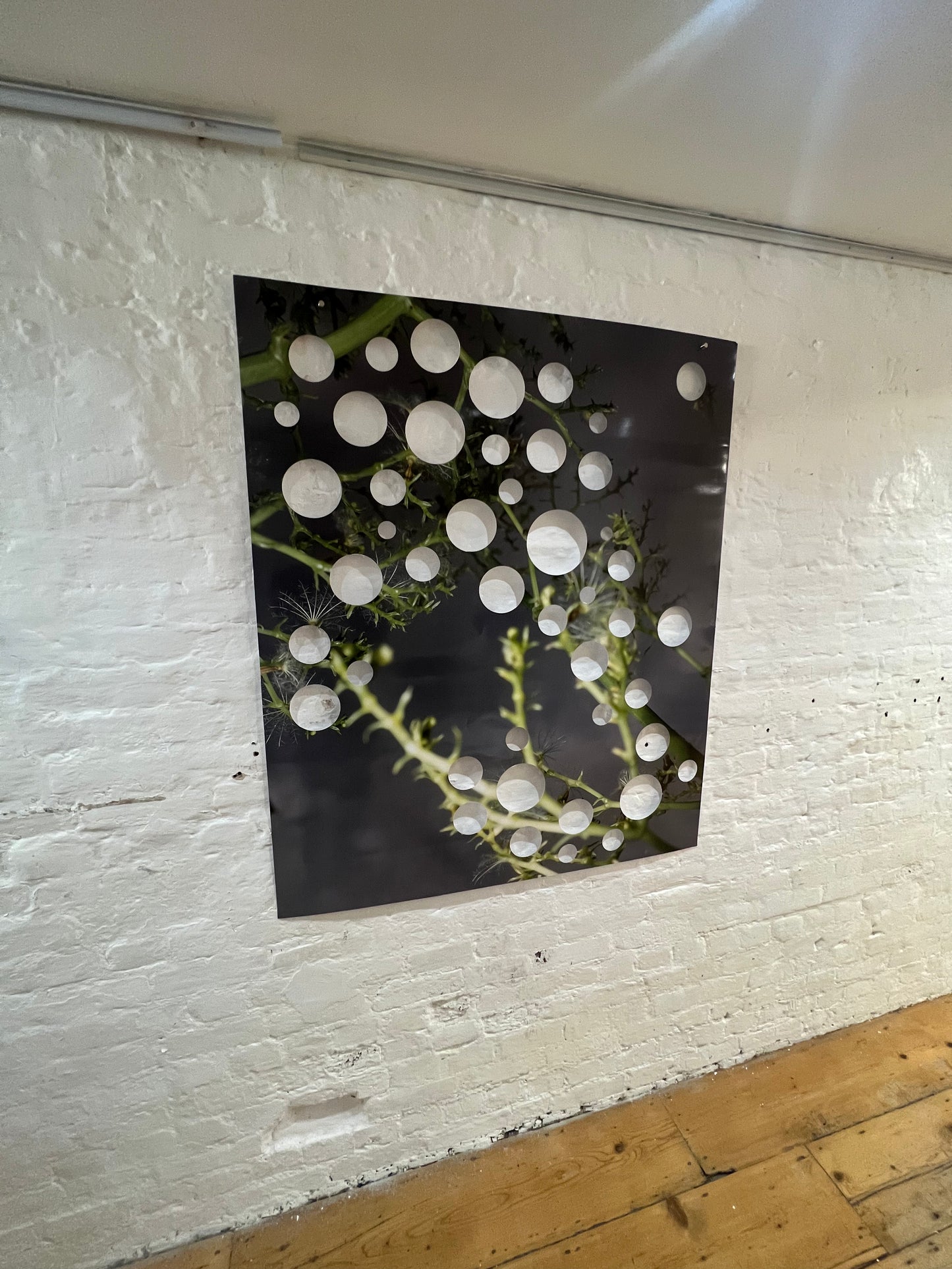 0084 - Large photograph with holes