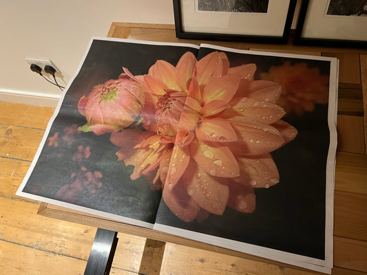 0086 - Broadsheet newspaper