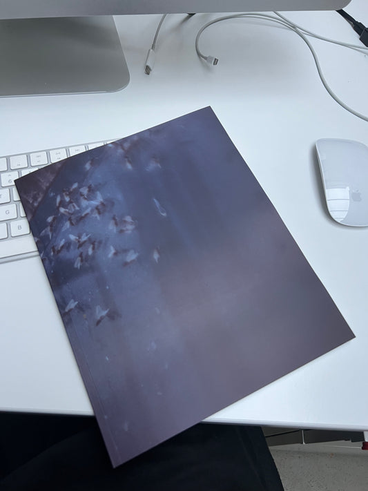 0132 - back in 2005 I used slide film, heres the book