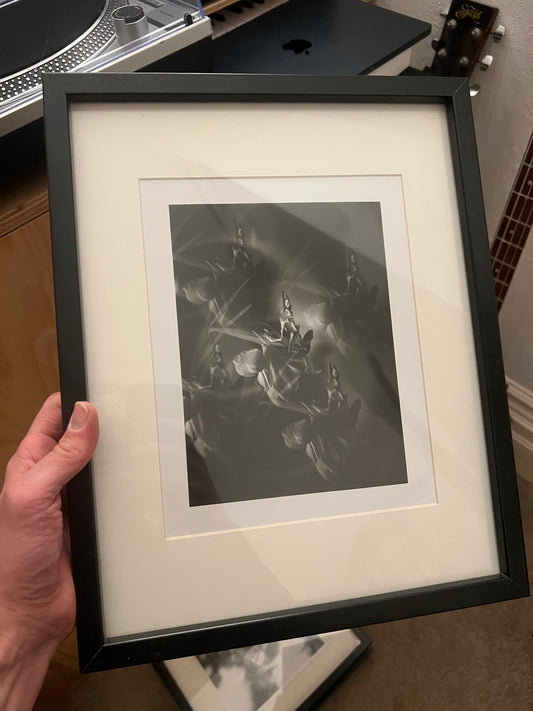 0133 - Hand printed 10x8 photograph