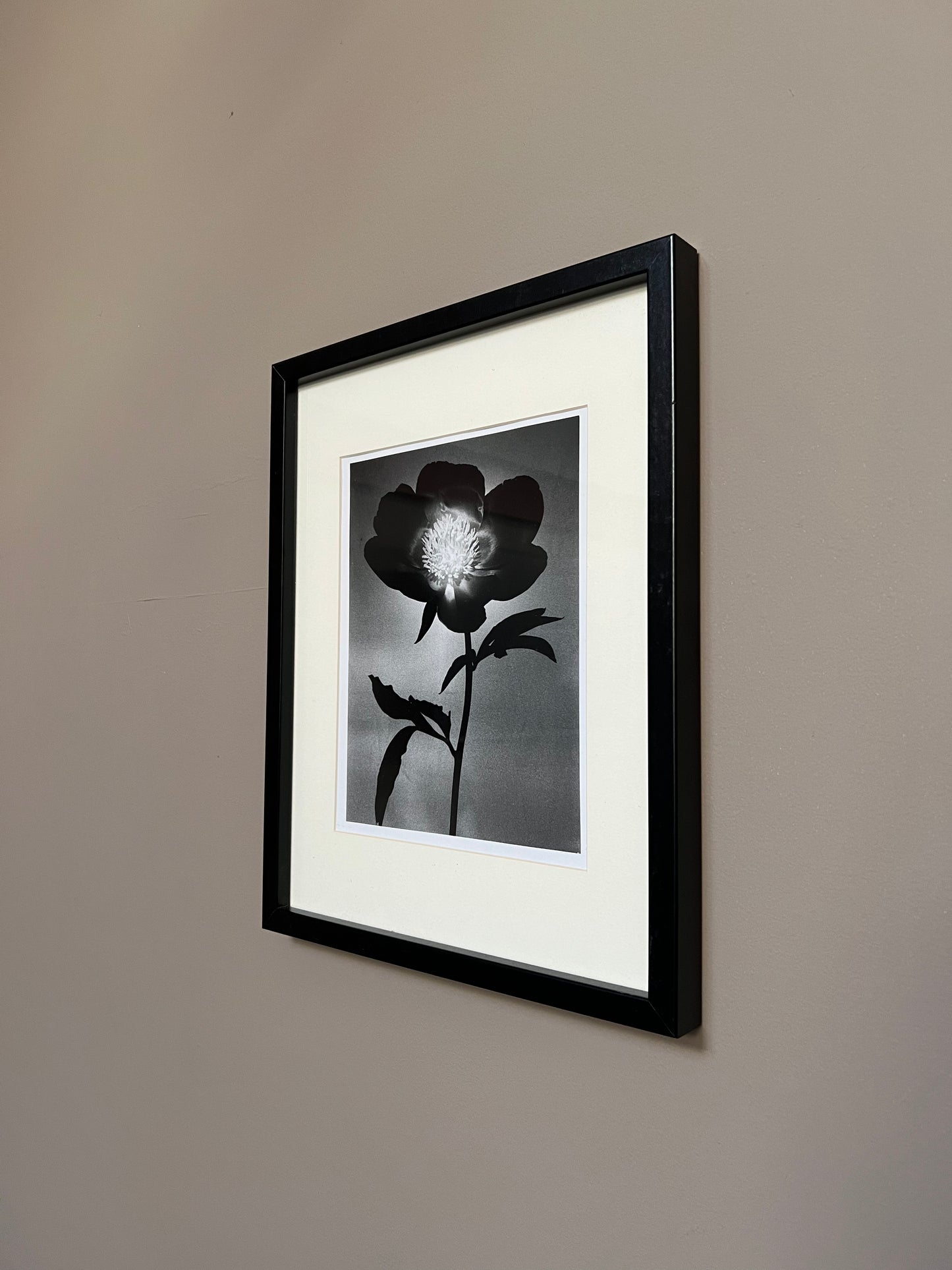 0087 - 10x8 Photographic print