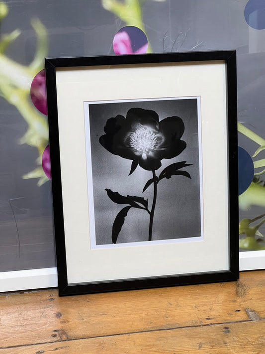 0087 - 10x8 Photographic print