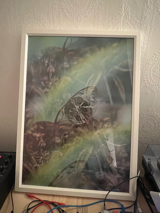 0135 - A2 digital print