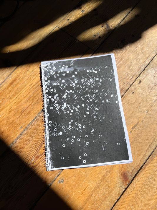 0089 - A4 ring bound photobook