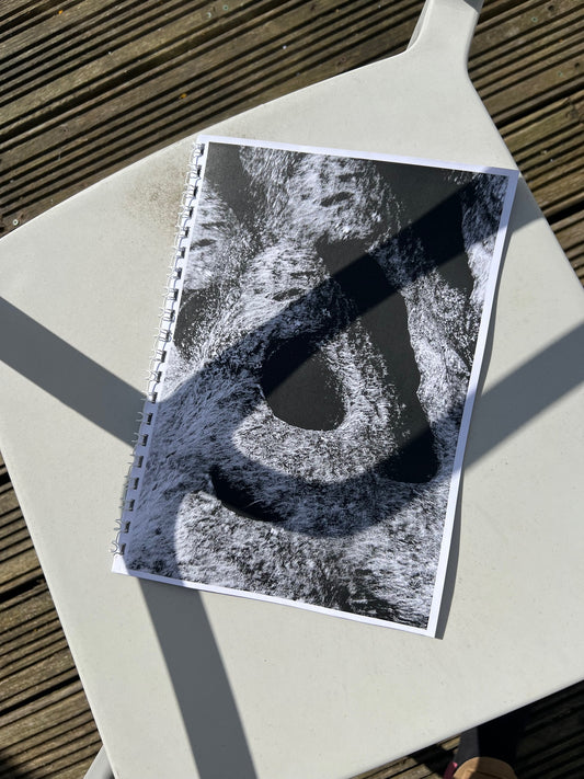 0090 - A4 ring bound photobook