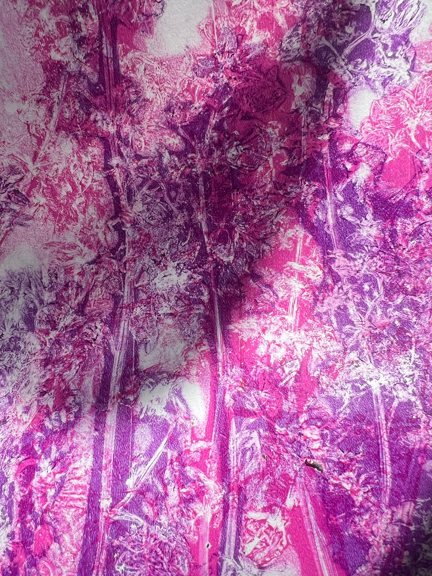 0092 - a4 flowers print