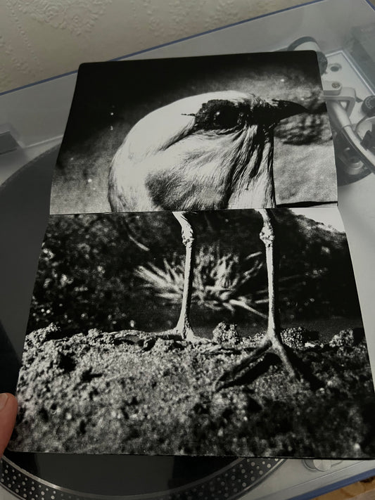 0097 - Small book of small creatures