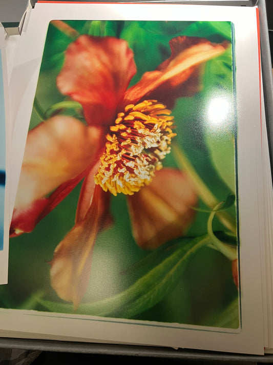 0099 - lucky dip hand print