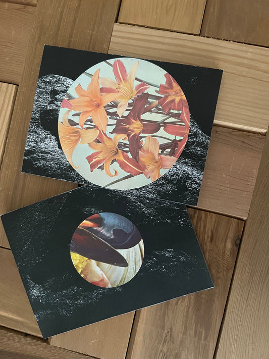 0100 - Two books on rocks and flowers