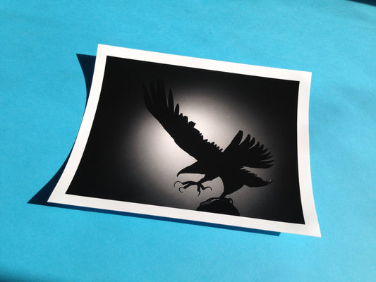 0064 - Hand printed 10x8 photograph