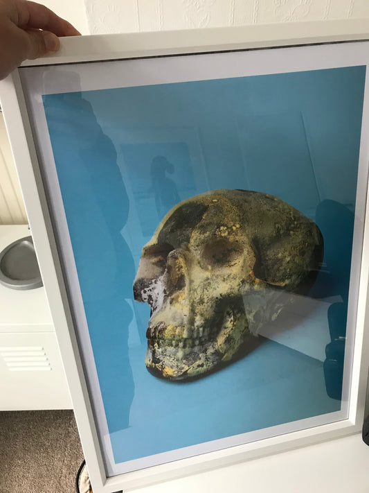 Photograph of a rotting jelly skull with a blue background.