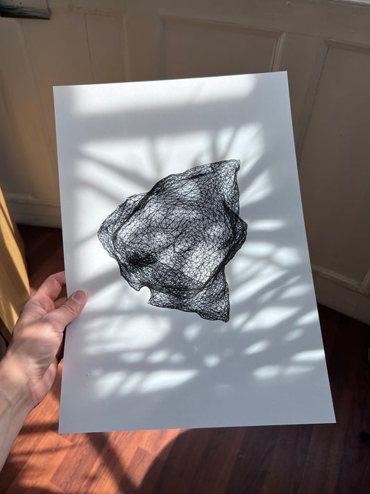 Pen Plot of 3D scanned flower.