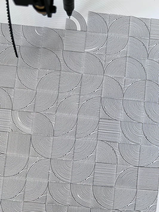 0031 - Pen Plot of generated line illustration