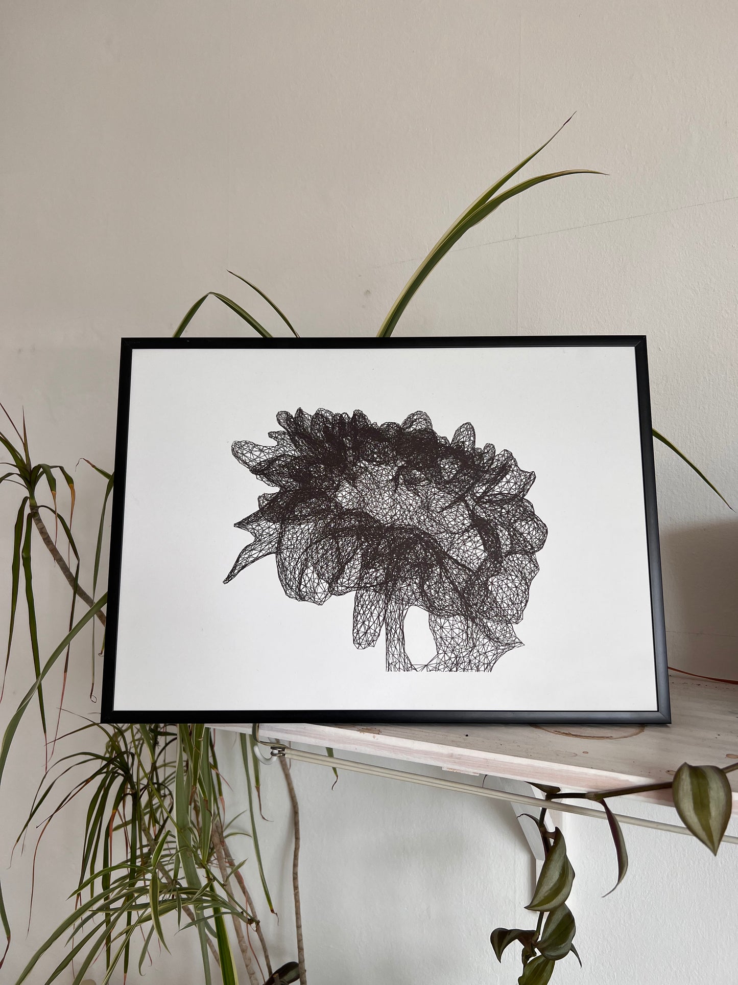 0043 - Pen Plot of 3d scanned flower