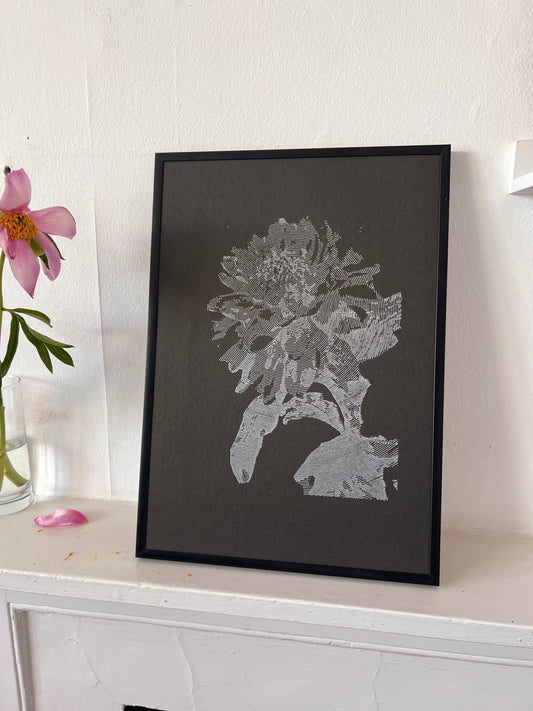 0004 - Pen Plot of a processed image of a flower