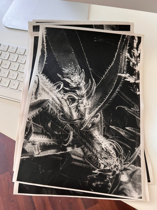 0049 - Random laser print