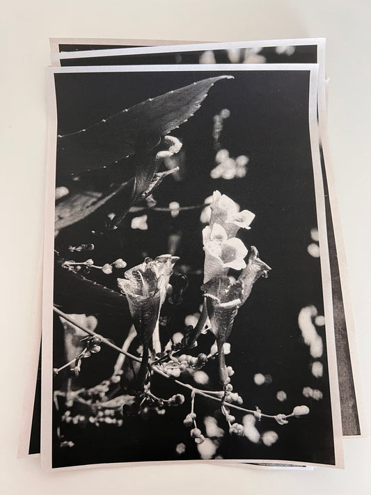 0051 - Another random laser print