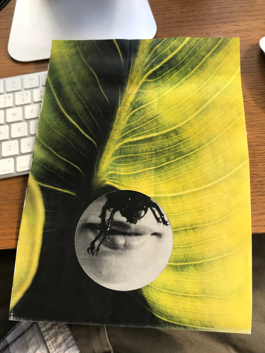 0023 - Photography Book