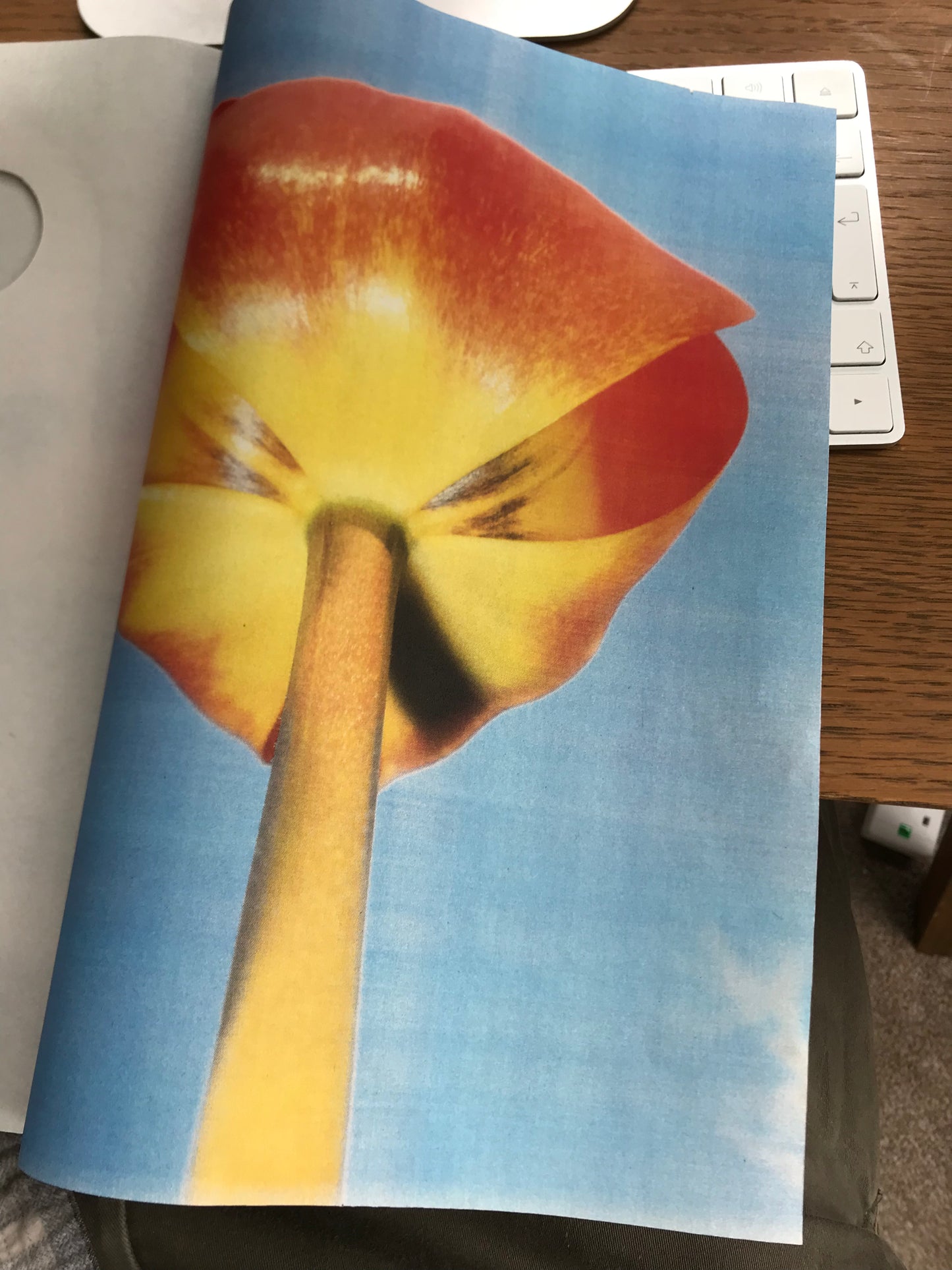 0023 - Photography Book