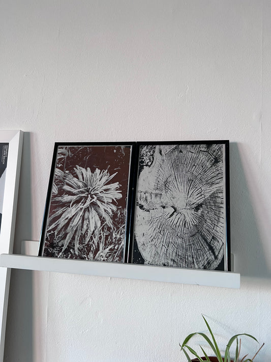 0061 - Two photographs one foiled