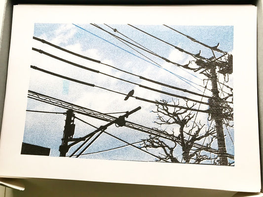 0065 - RISO two color print