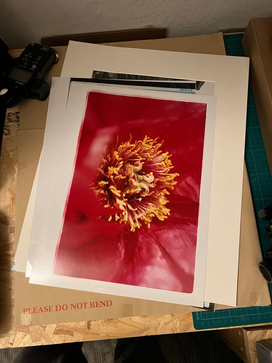 0072 - Hand print of a pink flower