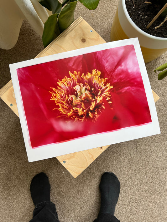 0074 - Hand printed color photograph