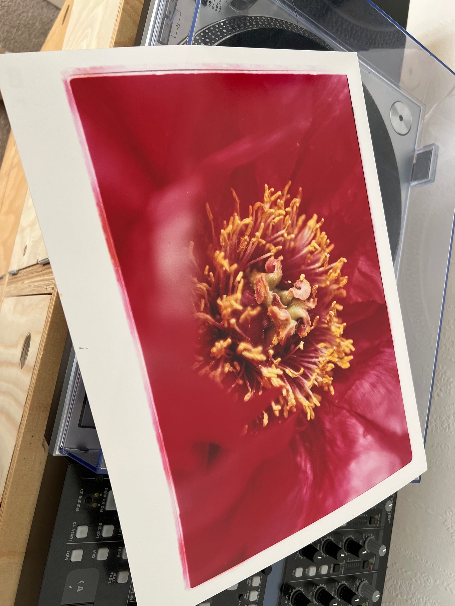 0074 - Hand printed color photograph