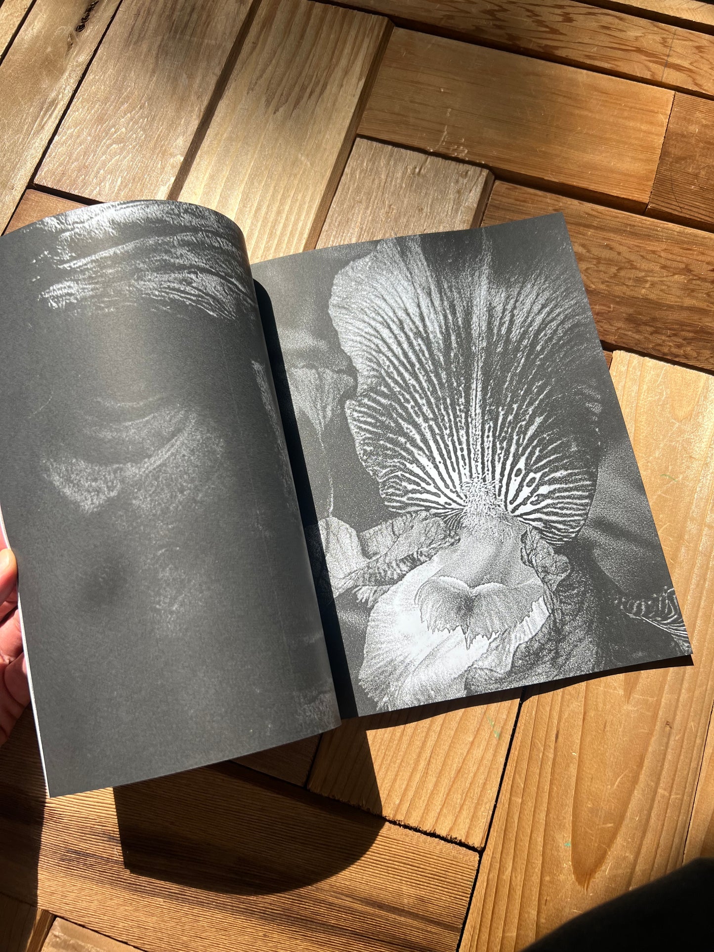 0123- 10x8 sci-fi series