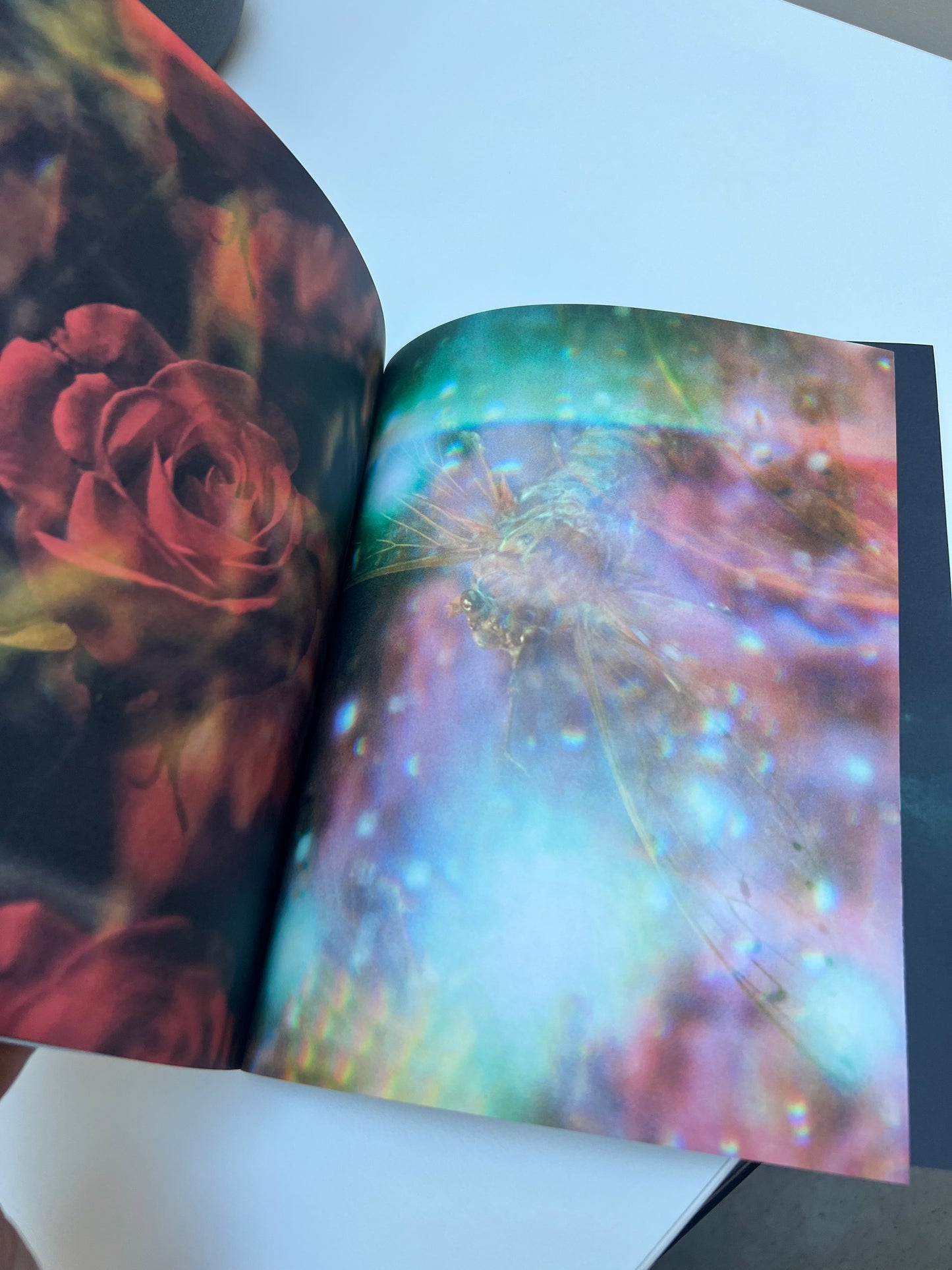 0125 - 10x8 sci-fi photobook