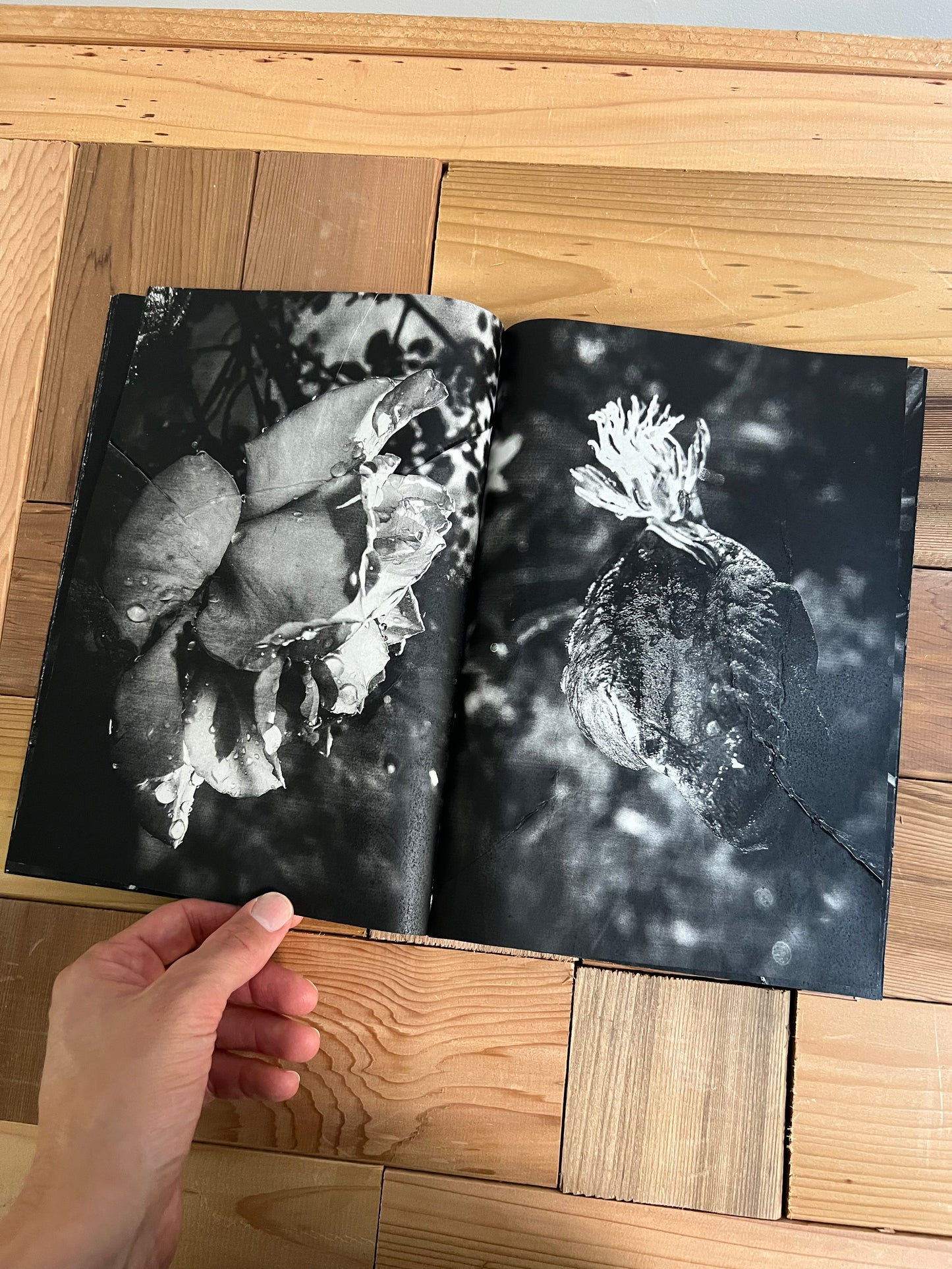 0082 - Flowers & Plants Photobook