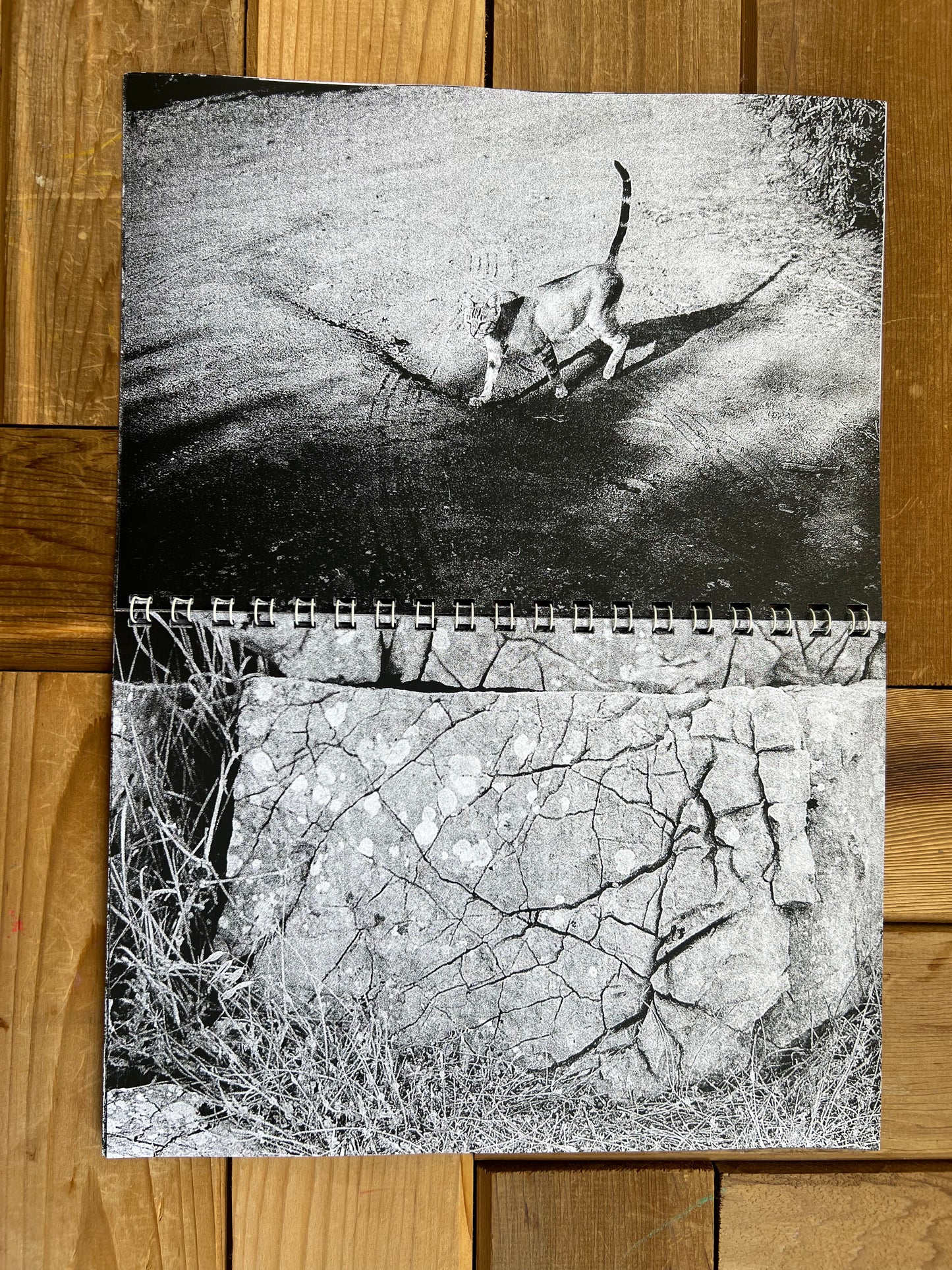 0126 - Spain in Black and White