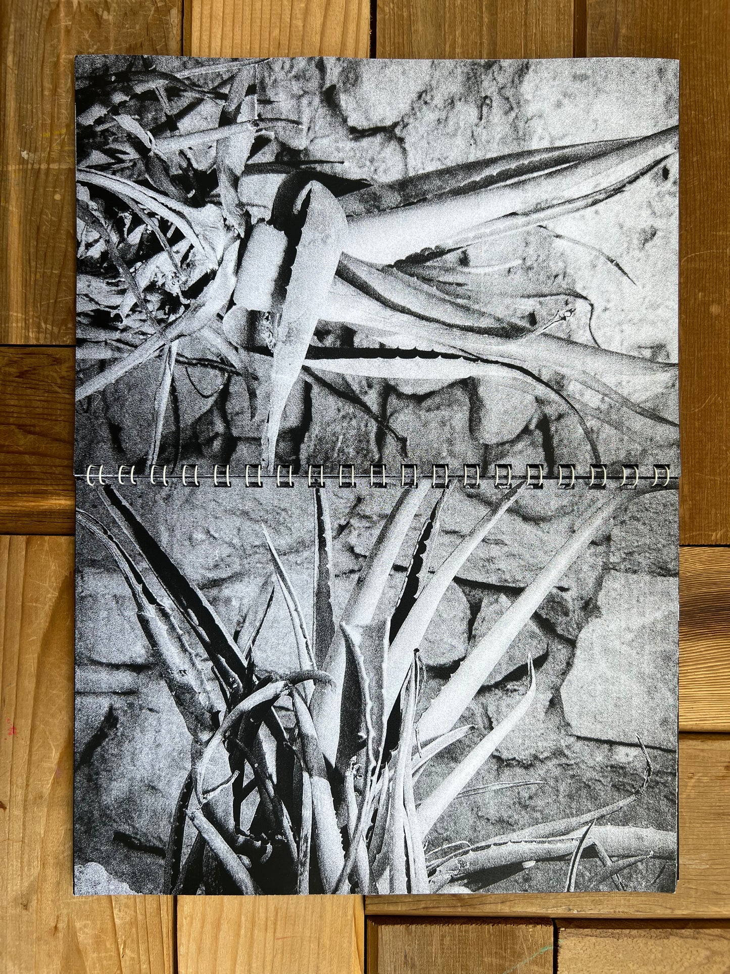 0126 - Spain in Black and White