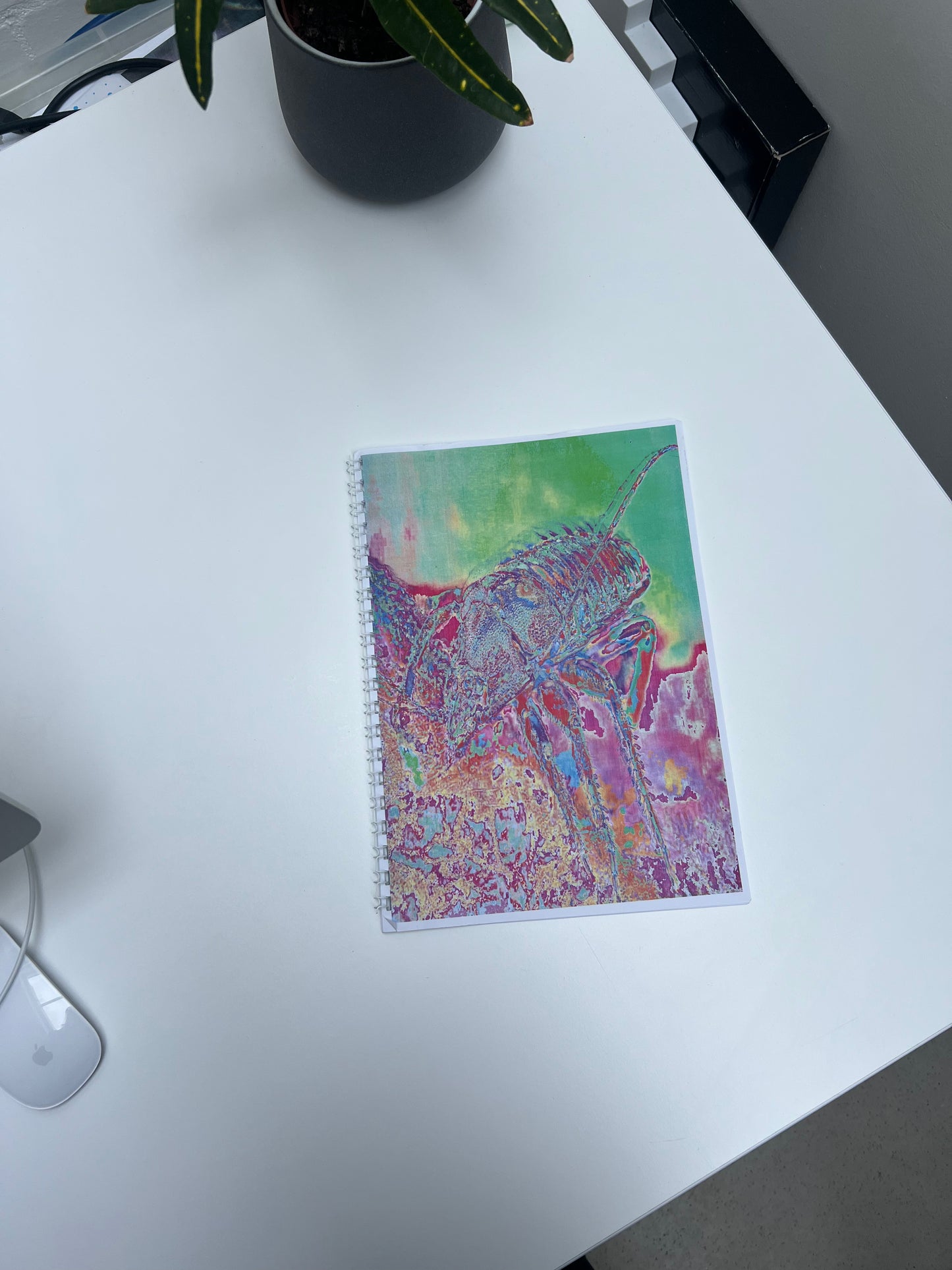 0129 - Another world view