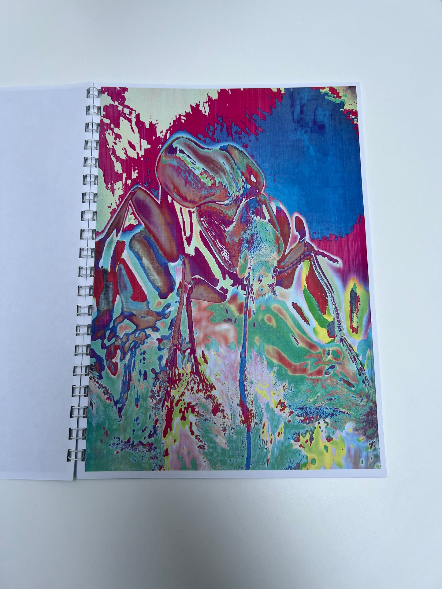 0129 - Another world view