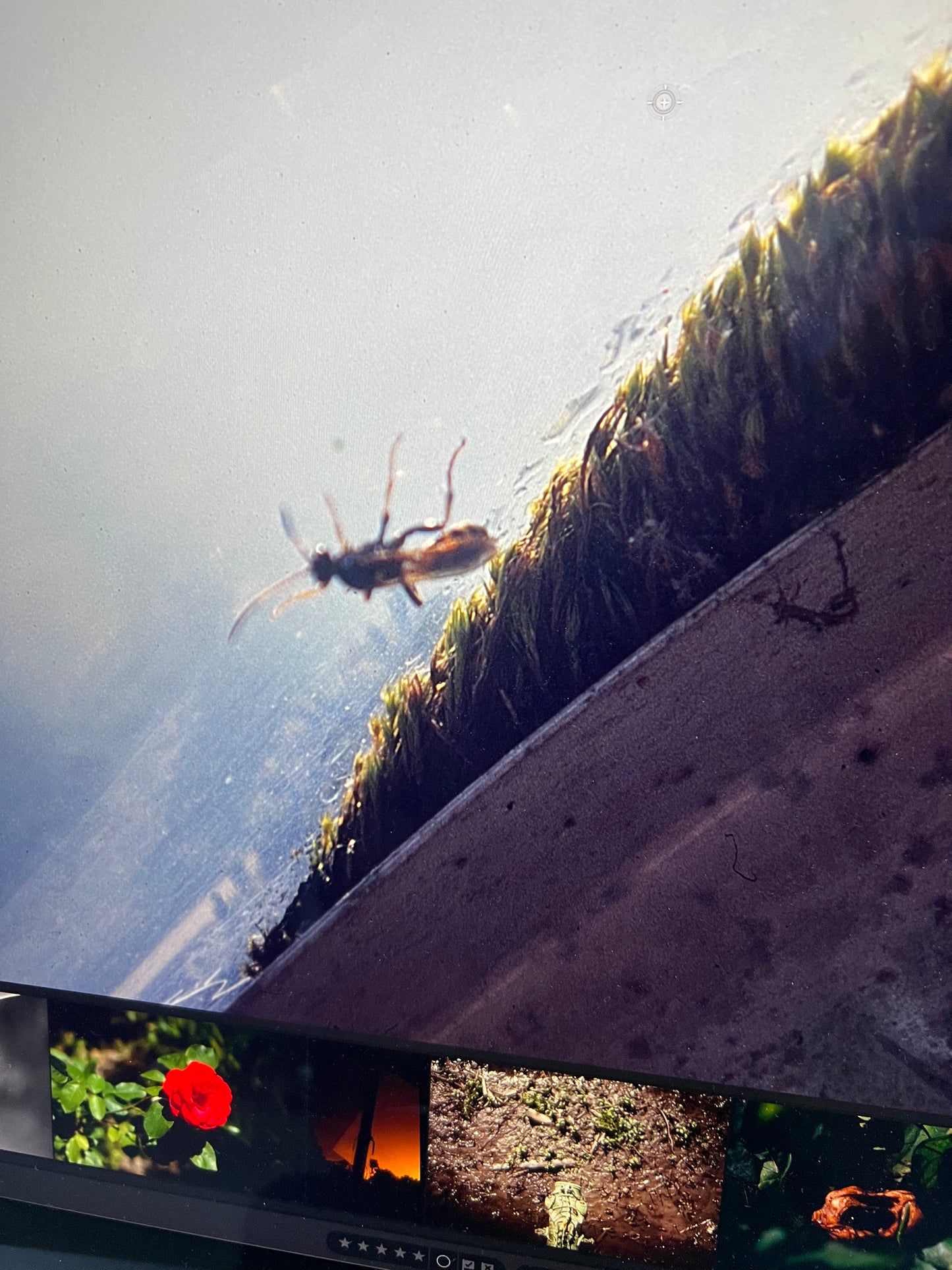 0131 - back in 2005 I used slide film a lot.