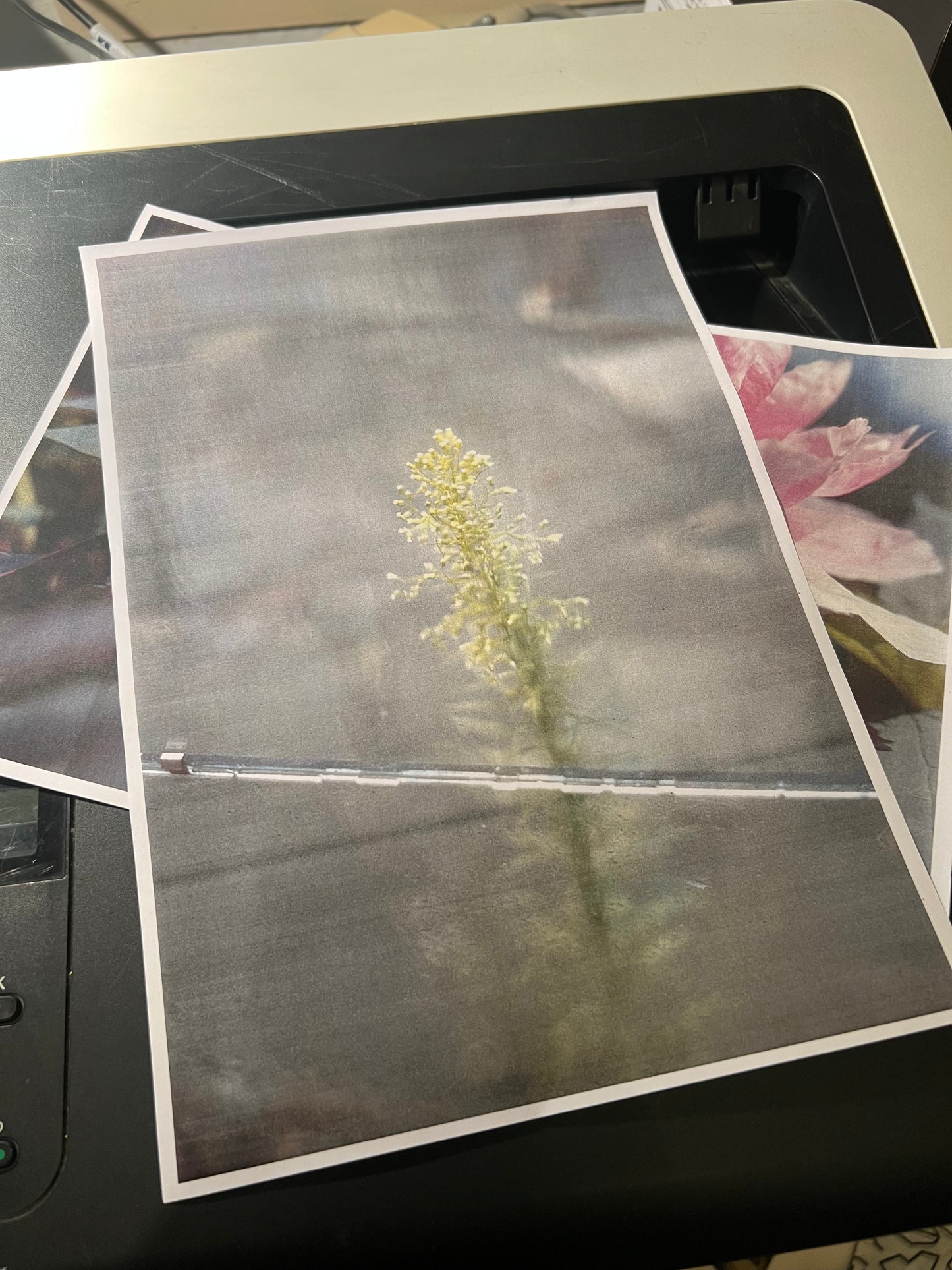 0131 - back in 2005 I used slide film a lot.