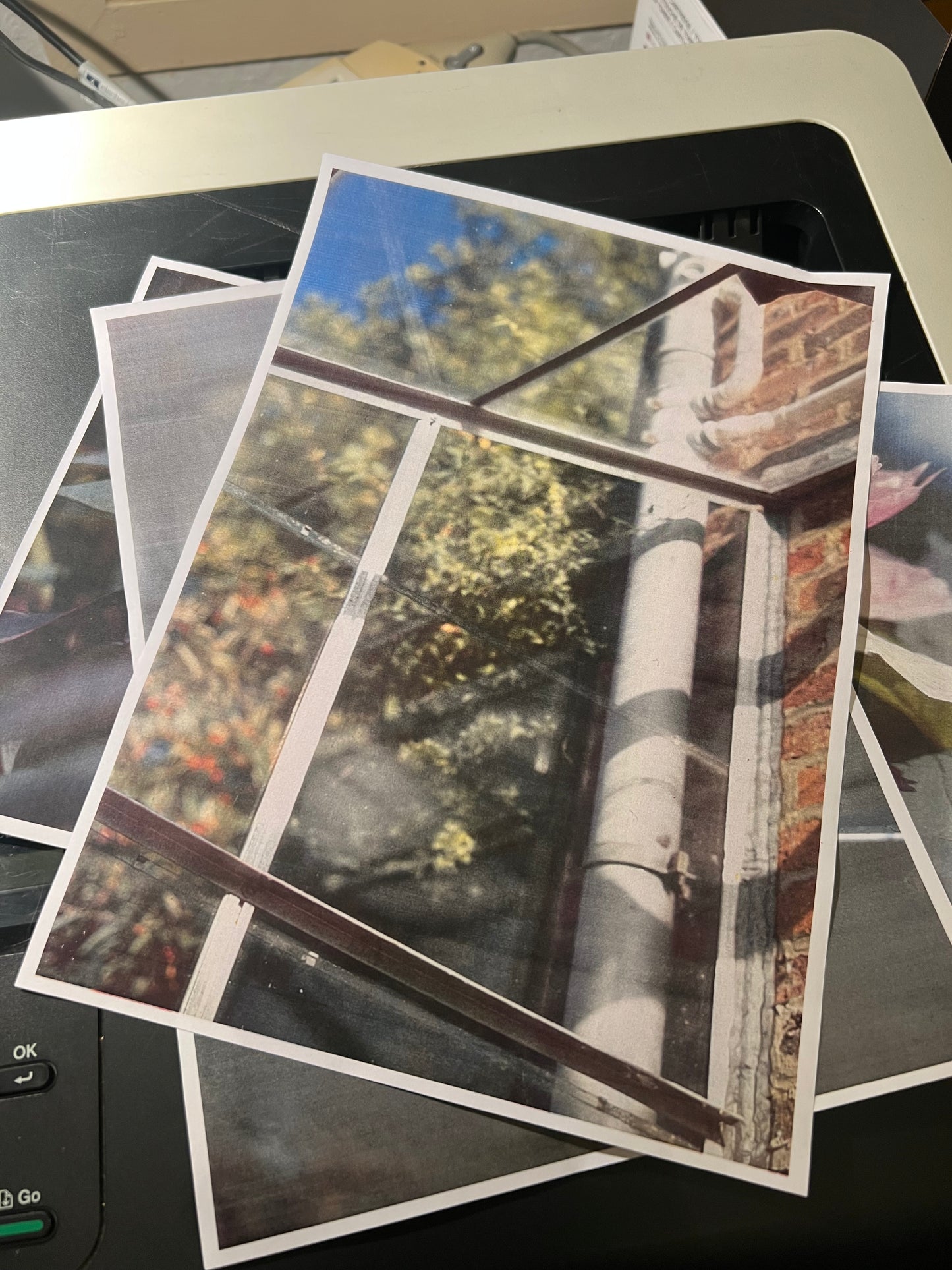 0131 - back in 2005 I used slide film a lot.