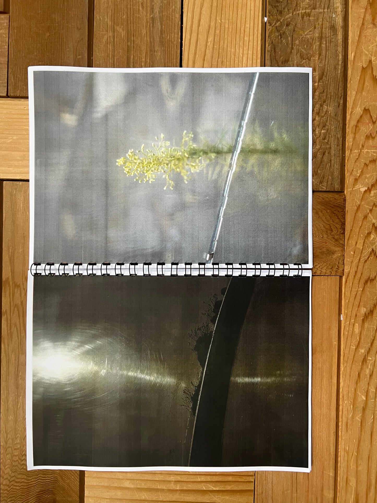 0131 - back in 2005 I used slide film a lot.