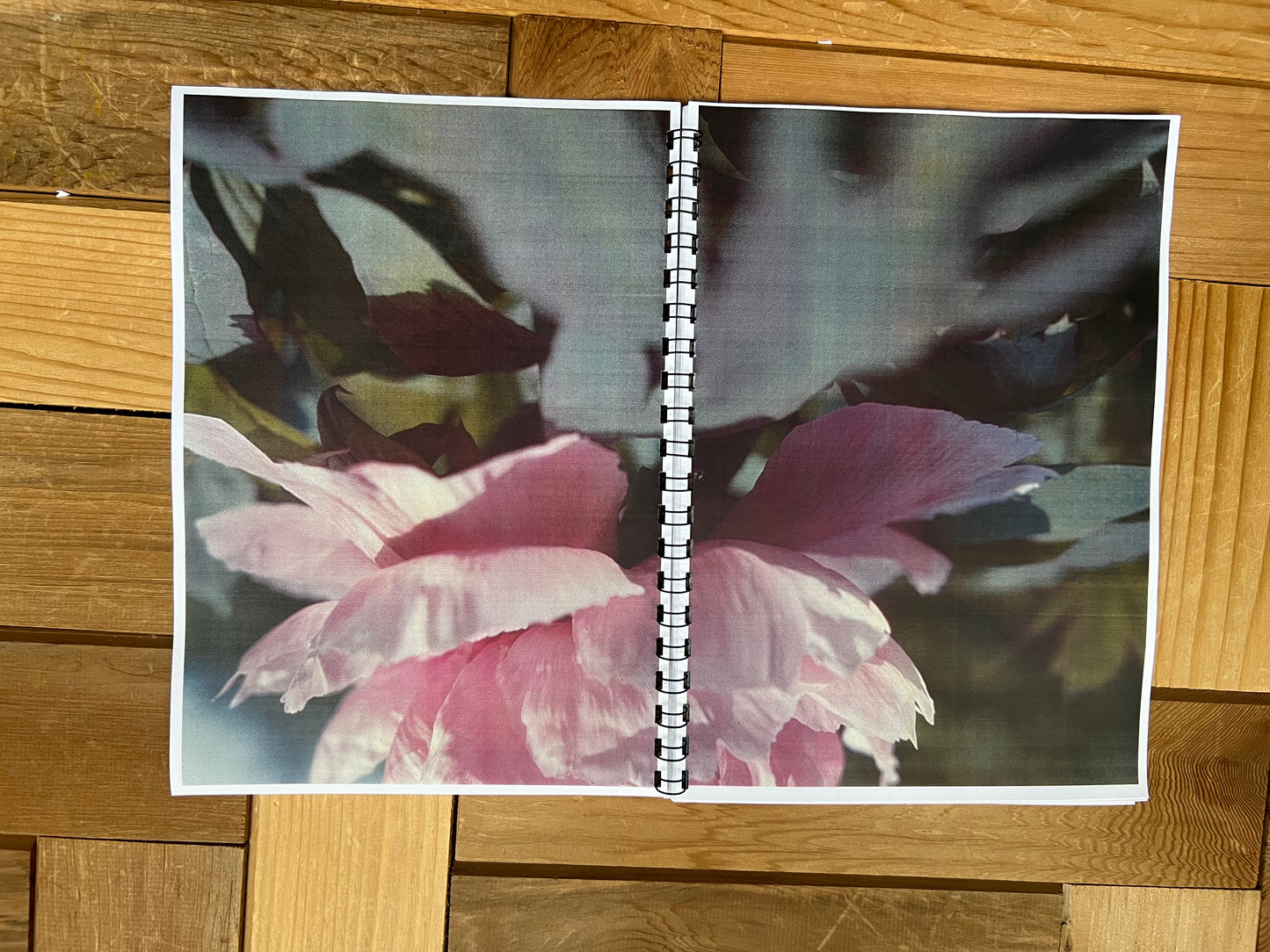 0131 - back in 2005 I used slide film a lot.