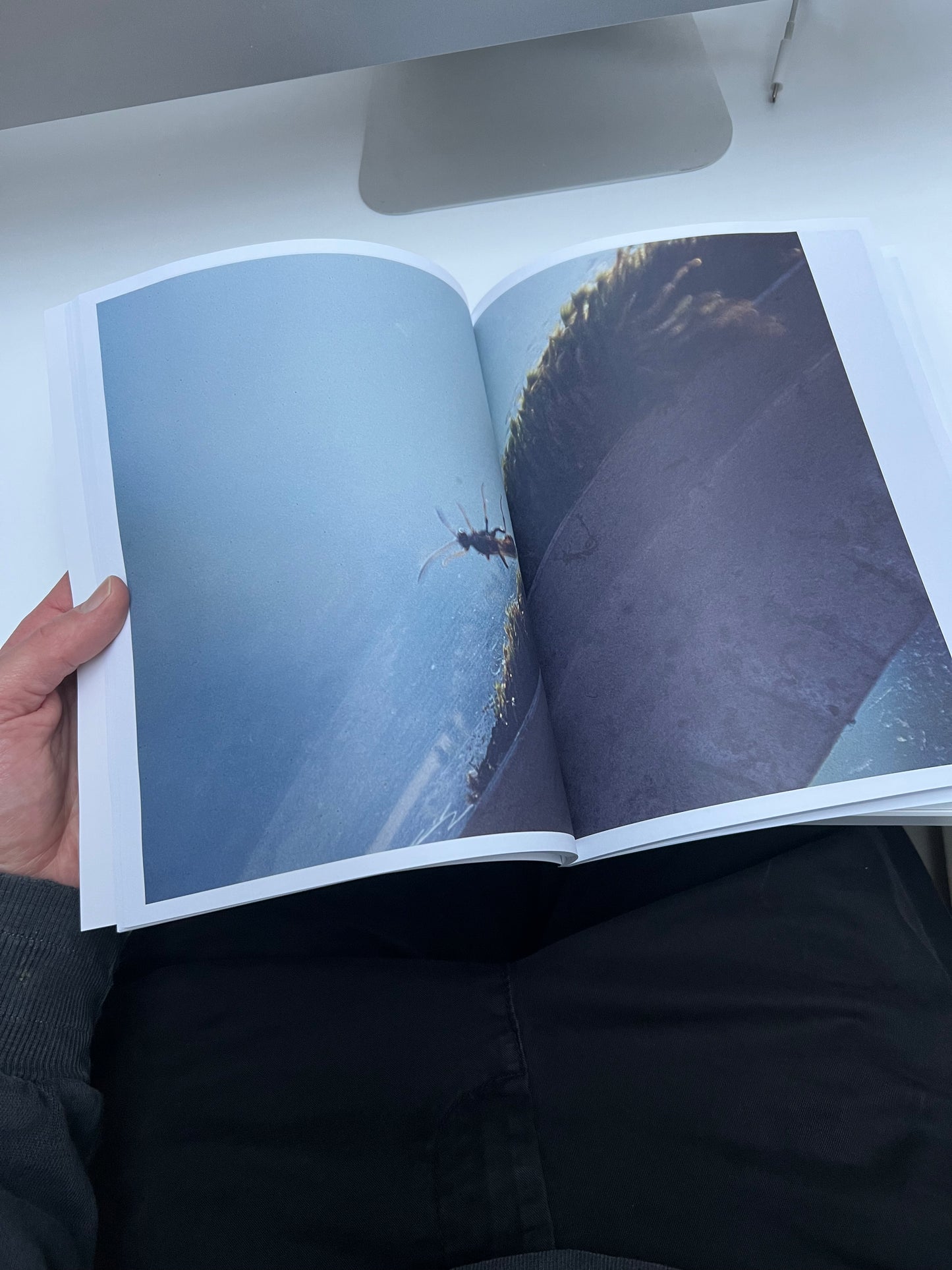 0132 - back in 2005 I used slide film, heres the book