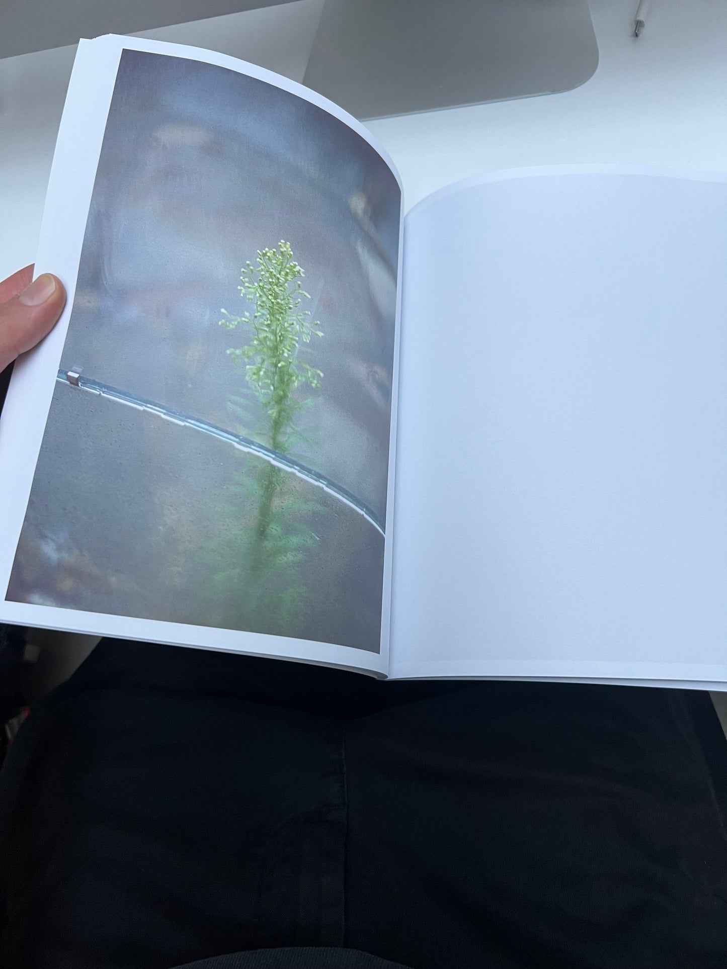 0132 - back in 2005 I used slide film, heres the book