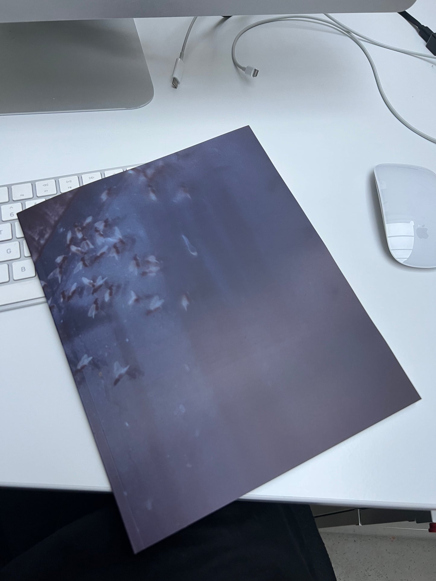 0132 - back in 2005 I used slide film, heres the book