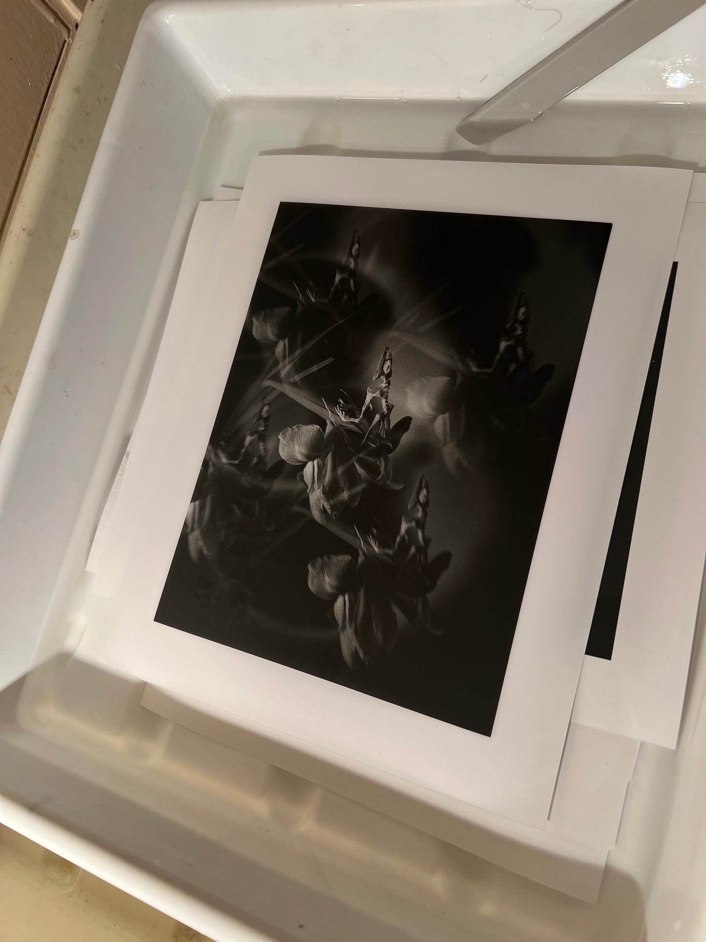 0133 - Hand printed 10x8 photograph