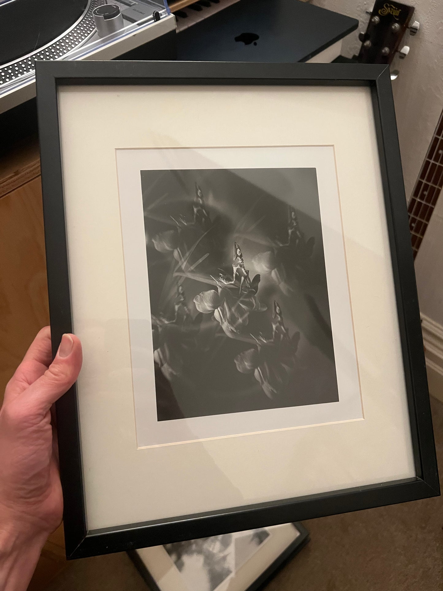 0133 - Hand printed 10x8 photograph