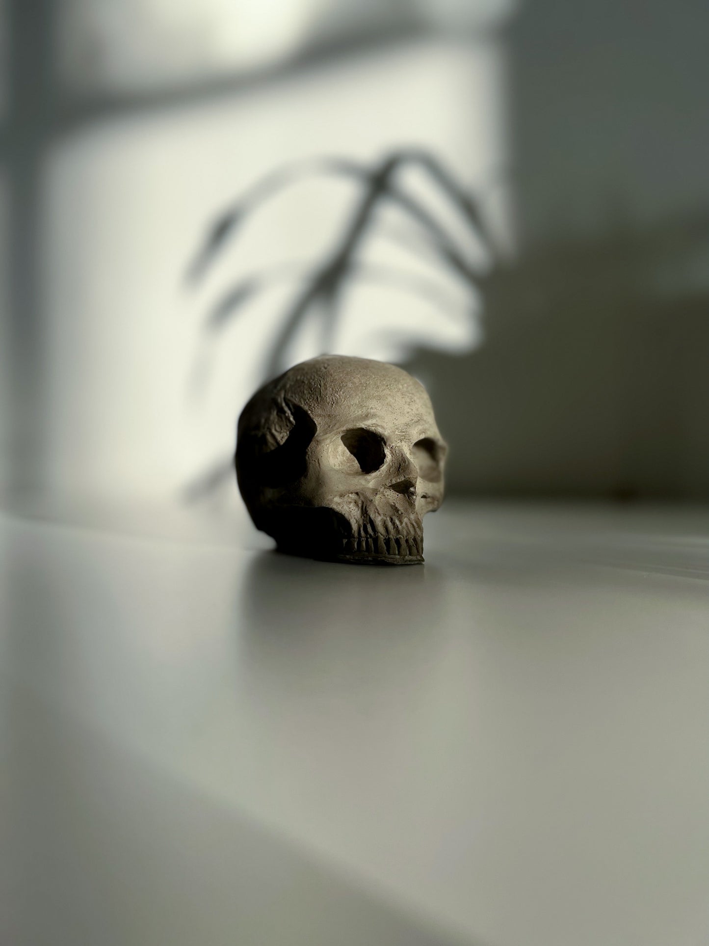 0069 - Concrete skull
