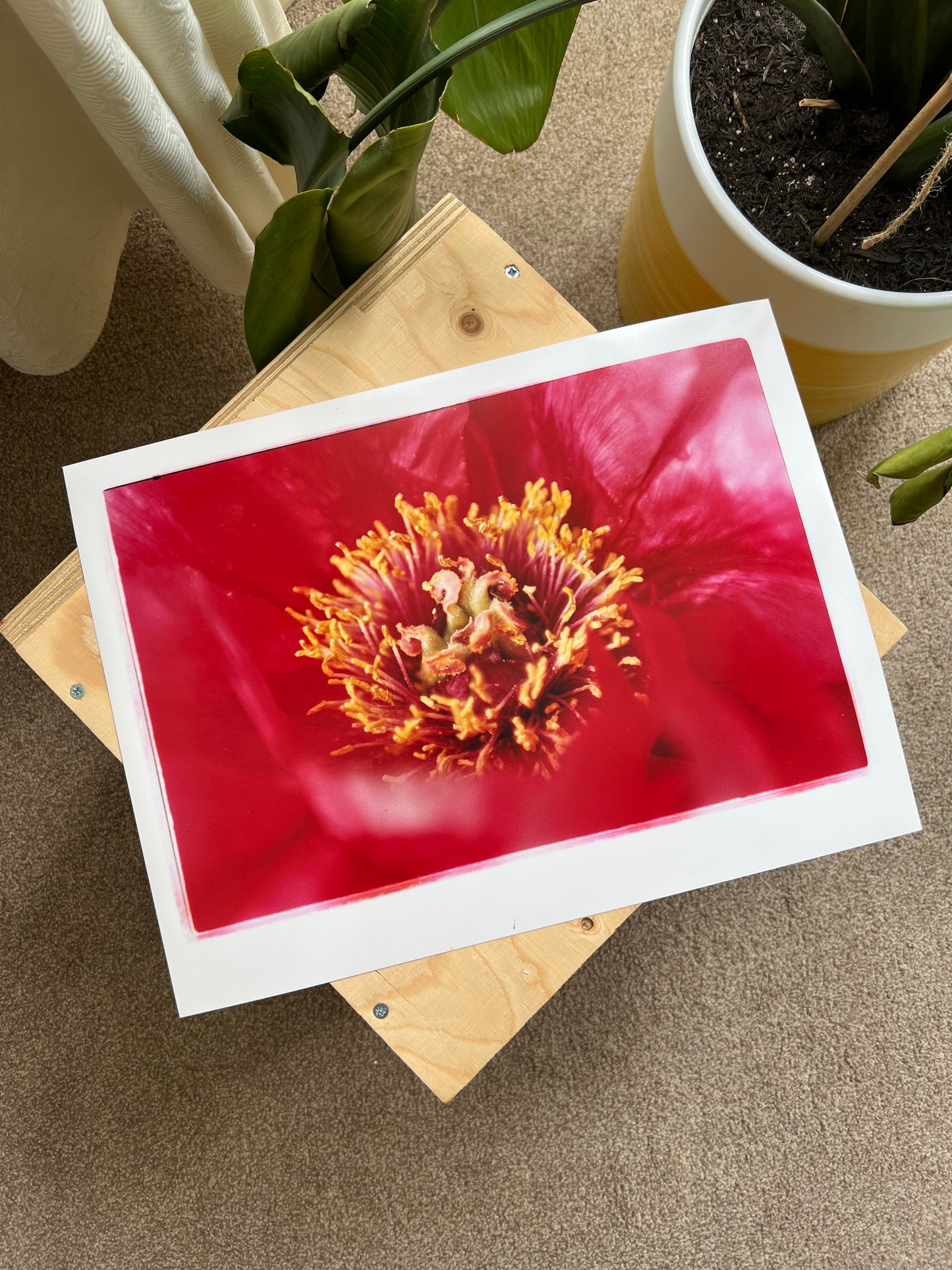 0074 - Hand printed color photograph